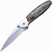 Полуавтоматический складной нож Santa Fe Kershaw Leek, сталь 14C28N, рукоять сталь с накладкой из зуба мамонта купить в Уфе